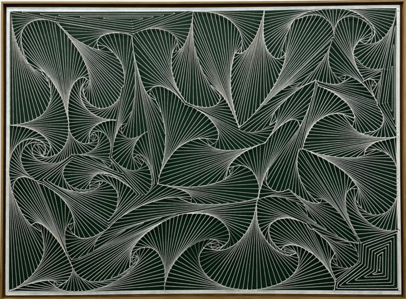 Ventales Triatu